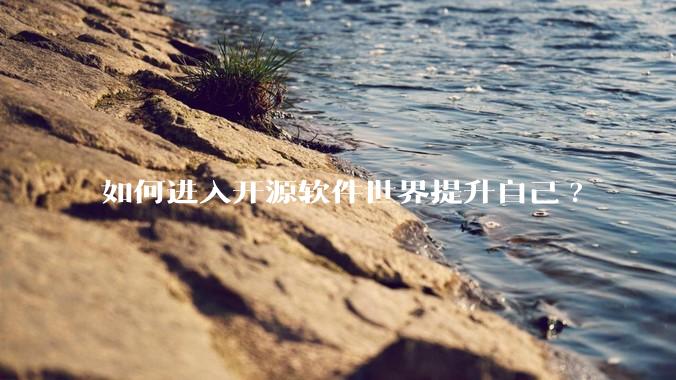 如何进入开源软件世界提升自己?