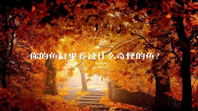 你的鱼缸里养过什么奇怪的鱼？