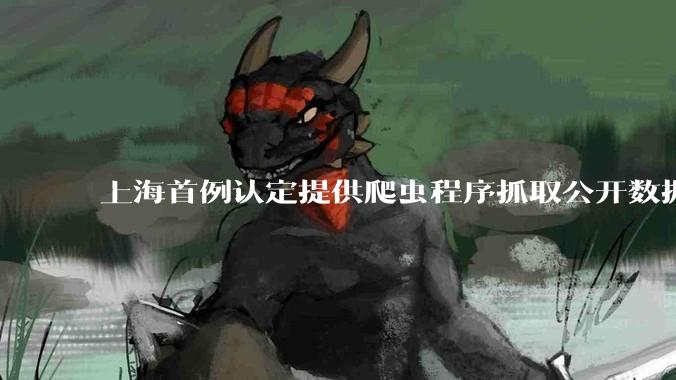 上海首例认定提供爬虫程序抓取公开数据构成提供侵入计算机信息系统程序罪案，该案件有哪些细节值得关注？